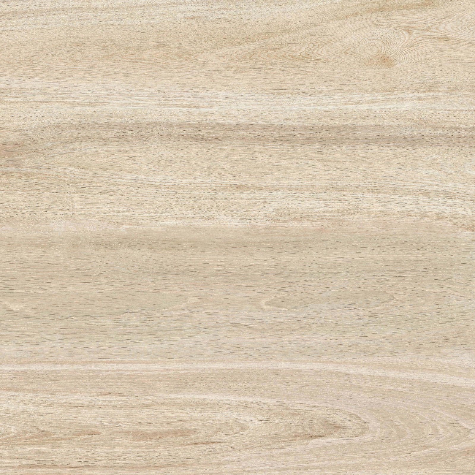 PLATINUM 60X60 REC SAFARI CREAM (DIS)